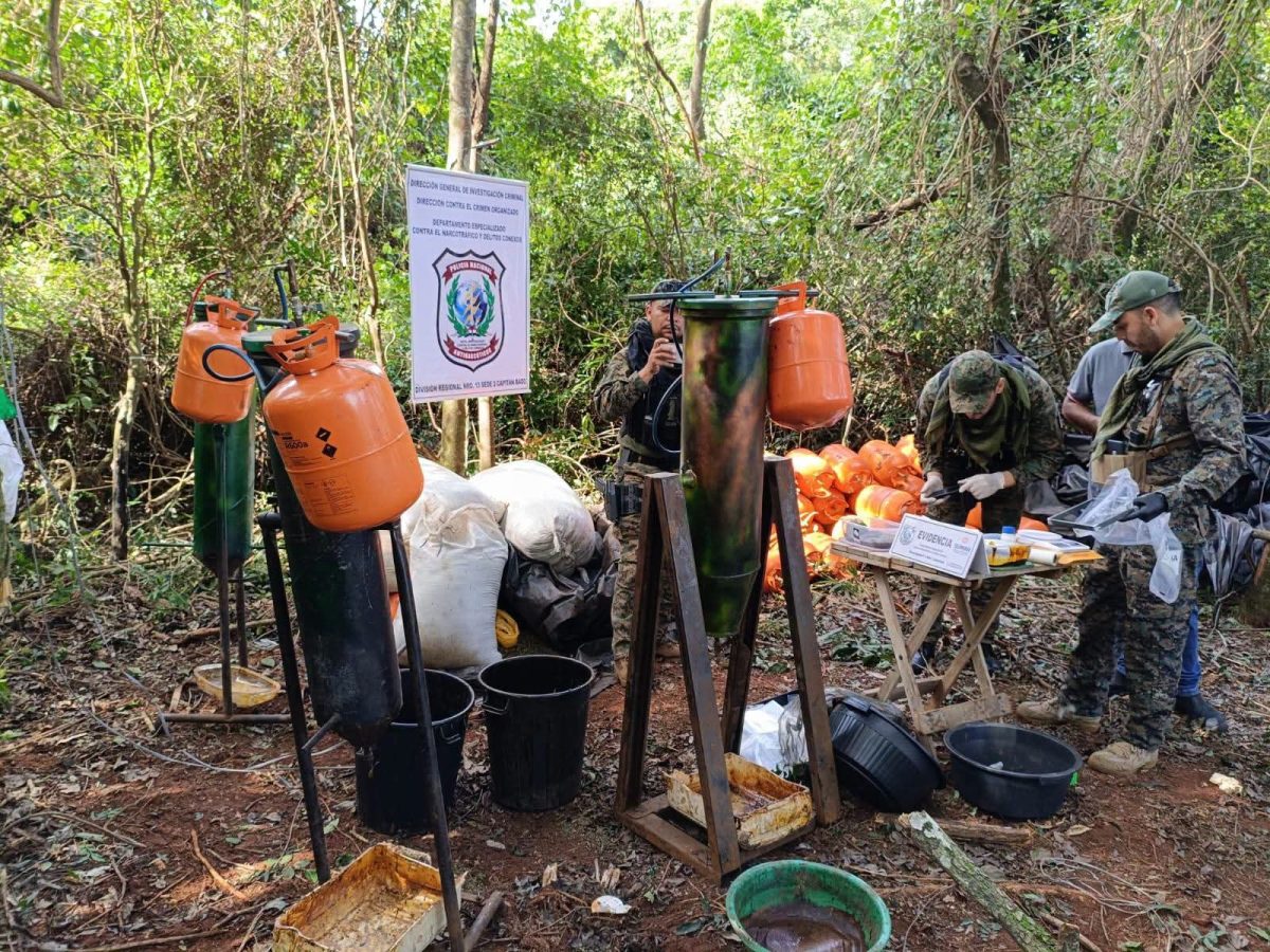 Imagen de la cobertura: Desmantelan laboratorio clandestino de marihuana en un establecimiento rural de Capitán Bado
